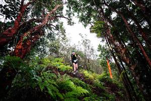 BIB: 
                            <button type="button" onclick="openModal(26201647)" class="btn btn-primary btn-sm float-right btn-popup" data-toggle="modal" data-target=".modal-high-quality">
                        <i class="fas fa-shopping-cart"></i> Add to Cart
                    </button>
                                            <button type="button" onclick="isThisMe(26201647, true)" class="btn btn-success btn-sm float-right btn-popup btn-isme hidden" data-toggle="tooltip" data-placement="bottom" title="นี่คือรูปของคุณใช่ไหม คลิกที่นี่เพื่อเอาเข้าอัลบั้ม">
                        <i class="fas fa-plus"></i> Add to album
                    </button>
                    <button type="button" onclick="isThisMe(26201647, false)" class="btn btn-warning btn-sm float-right btn-popup btn-isnotme hidden">
                        <i class="fas fa-ban"></i> Remove from album
                    </button>